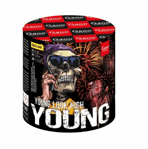 Bateria YOUNG 13 strzałów - SS13-04I Gaoo